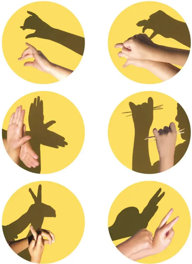 Fotos con fondo amarillo: manos reales abajo y su sombra arriba. 1) pájaro con pico abierto; 2) lobo con orejas puntiagudas; 3) ave con alas extendidas; 4) gato con bigotes hechos con palitos; 5) conejo con orejas largas; 6) jirafa con cuello largo.