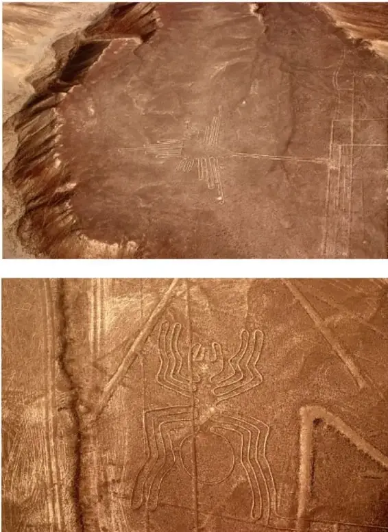 Geoglifo de un animal o figura antropomorfa con apéndices, trazado en el suelo desértico.