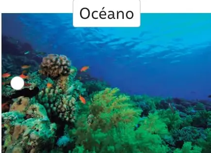 Fondo marino con arrecife de coral verde, peces naranjos y agua azul. Rótulo «Océano».