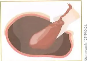 Recuadro de competencia digital que invita a observar un video sobre las etapas de la reproducción humana y reflexionar sobre los cuidados de la madre y el bebé.
