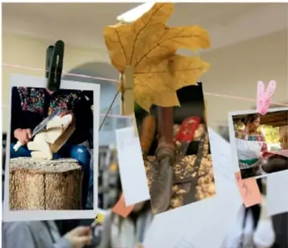 Collage de fotografías de actividades comunitarias y naturaleza.