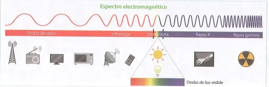 Figura 2 de Ciencias Naturales 10° · 2025