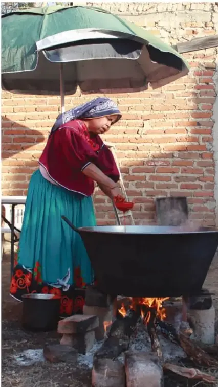 Fotografía de una mujer indígena cocinando al aire libre con leña, bajo un paraguas, lo que ilustra tareas domésticas y condiciones de vida rurales.