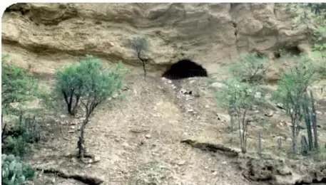 Fotografía de la Cueva del Maíz en Coxcatlán, Puebla, con vegetación seca y una entrada rocosa.