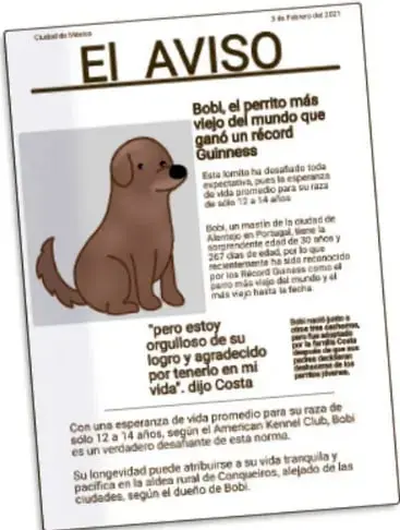 Ejemplo de aviso titulado "EL AVISO" con la noticia de Bobi, el perrito más viejo del mundo, fechado el 3 de febrero del 2021.