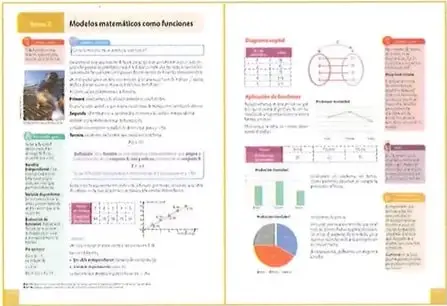 Ejemplos visuales de páginas con modelos matemáticos, diagramas, tablas y gráficos.