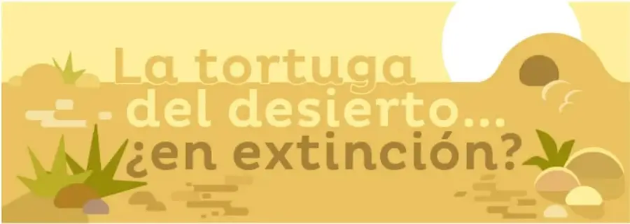 Collage circular con fotografías de un puma, un lobo mexicano, un oso negro y una tortuga del desierto.