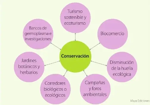 Recuadro de competencia digital que invita a visitar un enlace sobre cómo proteger el ambiente.