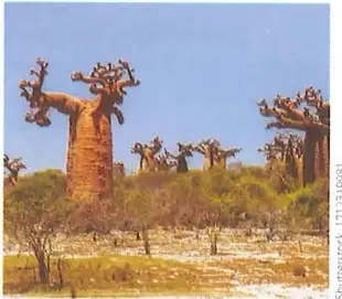 Figura 3 de Ciencias Naturales 9° · 2025