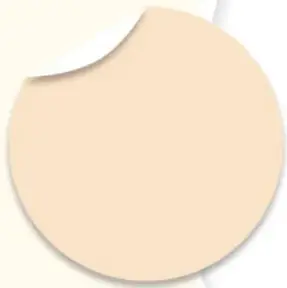 Ilustración de un círculo beige con borde punteado.