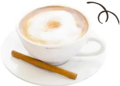 Taza de café con espuma espolvoreada de canela, con una ramita de canela sobre el plato blanco.