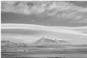 Ilustración en blanco y negro de una tortuga de agua sobre una roca.