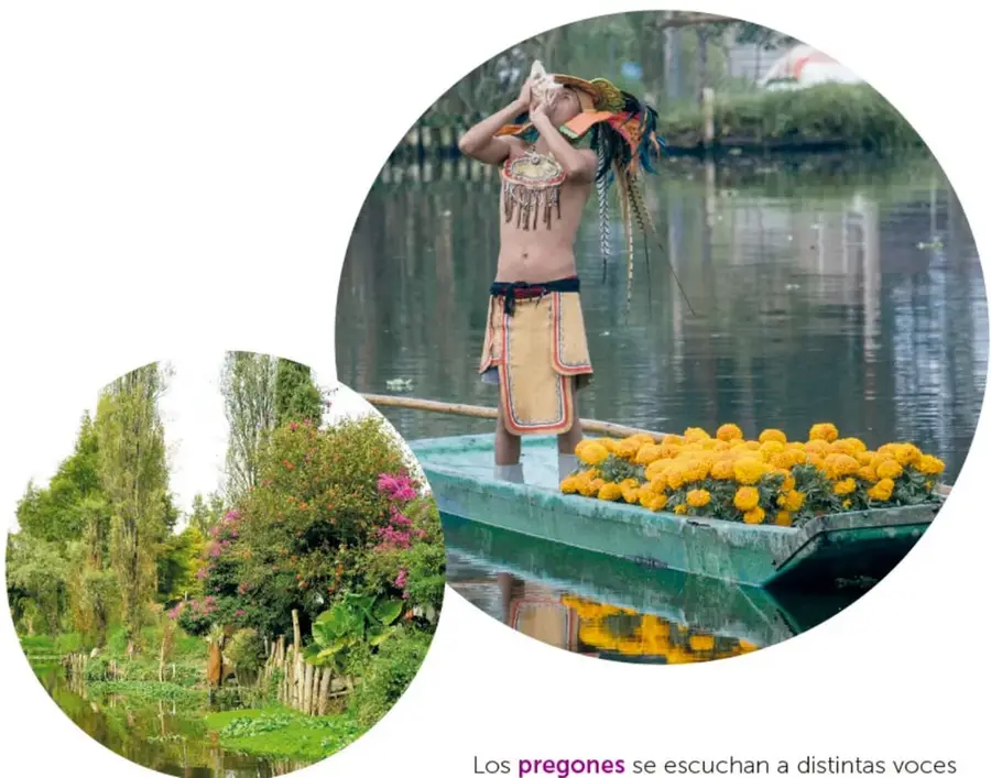 Paisaje de una chinampa con árboles, flores y un canal de agua.