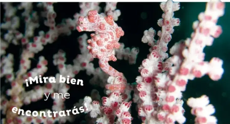 Forma blanca redondeada sobre la nieve, casi indistinguible del paisaje nevado.