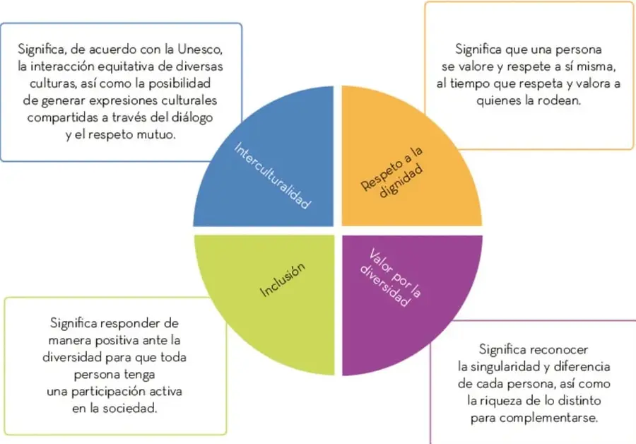 Esquema circular dividido en cuatro cuadrantes de colores: azul (Interculturalidad), naranja (Respeto a la dignidad), morado (Valor por la diversidad) y verde (Inclusión), cada uno con un recuadro explicativo.