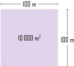 Cuadrado morado de 100 m por lado con área 10 000 m², representando una hectárea.