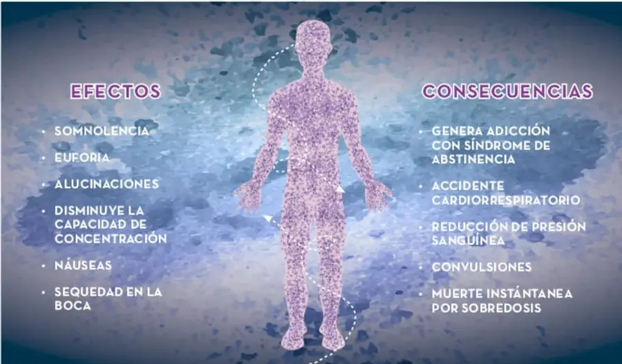 Infografía con silueta humana fragmentada y dos columnas: EFECTOS (izquierda) y CONSECUENCIAS (derecha) del consumo de fentanilo.