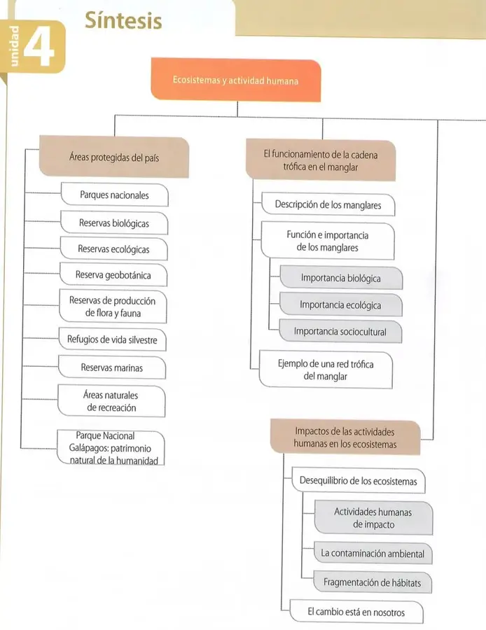 Figura 1 de Ciencias Naturales 8° · Egb 8 Ciencias Naturales 2025 · 2025