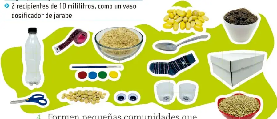 Collage fotográfico sobre fondo verde con los materiales del proyecto: botella de plástico, cinta métrica, tijeras de punta redonda, cuchara, semillas de frijol, lentejas, alpiste en recipiente rojo, aserrín en tazón, tierra en recipiente, pinturas de acuarela con pincel, cajas de zapatos apiladas, calcetín viejo, dos recipientes pequeños y ojos adhesivos.