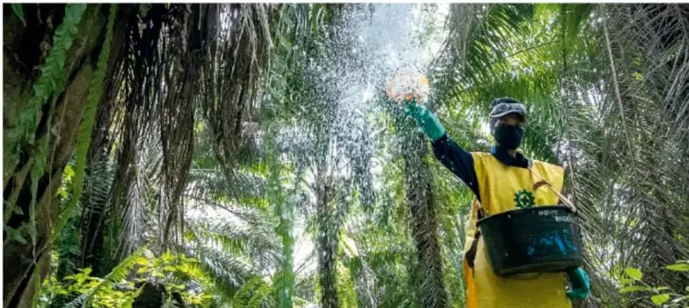 Fotografía de un trabajador con equipo de protección fumigando fertilizantes o plaguicidas en un cultivo rodeado de vegetación.