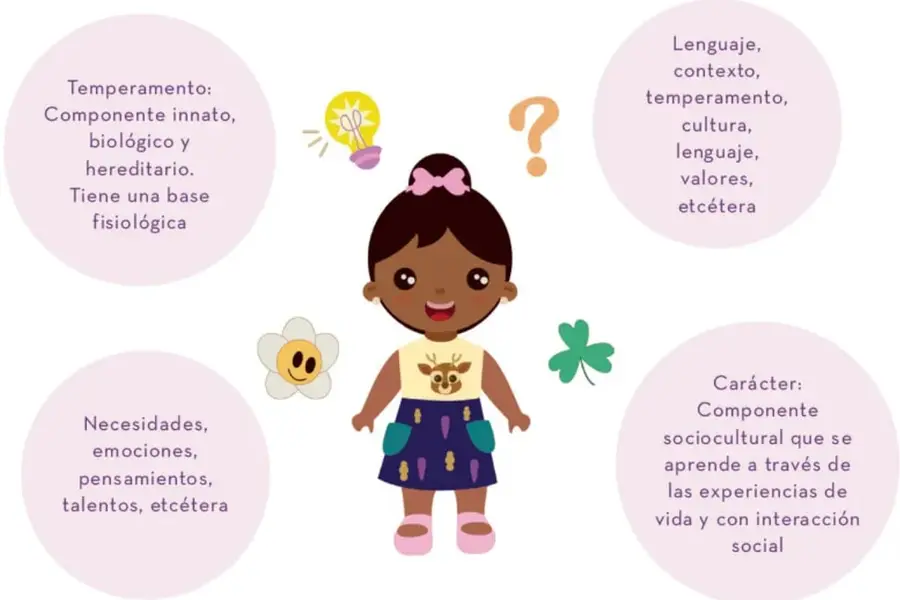 Organizador gráfico con una ilustración de una niña al centro y cuatro globos que describen los componentes de la personalidad: temperamento, carácter, elementos internos y factores externos.