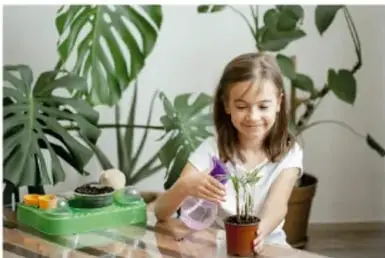 Niña regando una planta en maceta sobre una mesa.