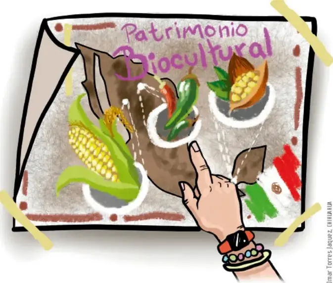 Ilustración de un cartel pintado a mano con el título 'Patrimonio Biocultural', que muestra maíz, chiles y otros productos agrícolas; una mano lo señala. Crédito: Omar Torres Jauregui, Chimiluya.