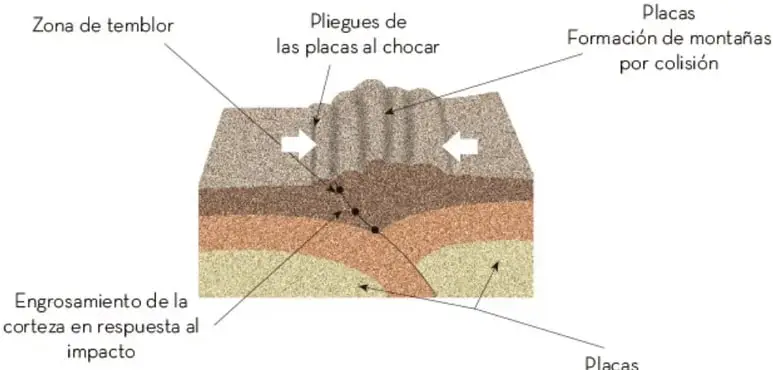 Corte de la corteza que ilustra la orogenia: zona de temblor, pliegues por choque de placas, formación de montañas por colisión y engrosamiento cortical.
