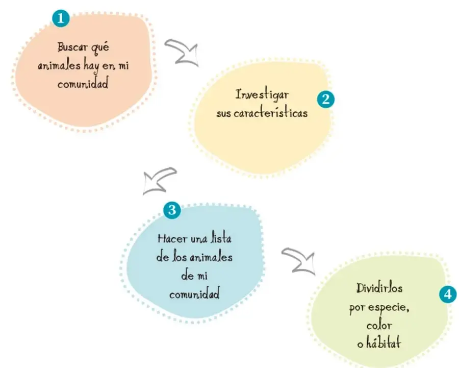 Diagrama de cuatro manchas de colores (naranja, amarillo, azul y verde) numeradas del 1 al 4 y unidas por flechas, con el proceso para estudiar los animales de la comunidad.