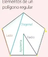 Tabla ilustrada con ejemplos de triángulo, cuadrilátero, pentágono, hexágono, heptágono y octágono regulares.