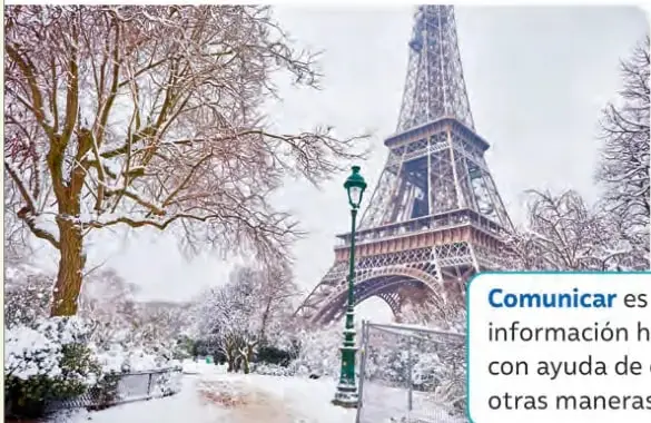 Fotografía de la Torre Eiffel y sus alrededores cubiertos de nieve, con árboles sin hojas, farol y cielo gris; representa el invierno en París.