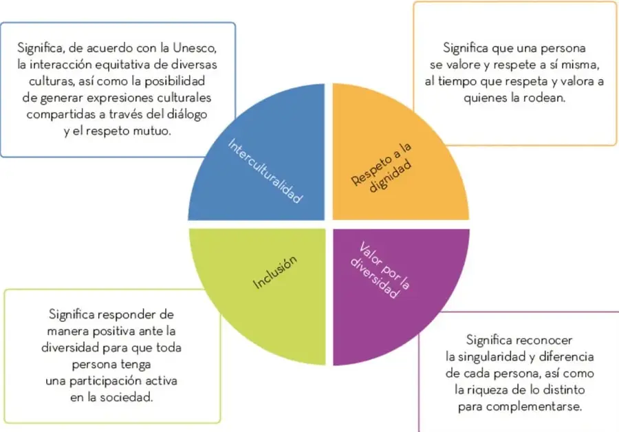 Esquema circular dividido en cuatro cuadrantes de colores: azul (Interculturalidad), naranja (Respeto a la dignidad), verde (Inclusión) y morado (Valor por la diversidad), cada uno con un recuadro explicativo.