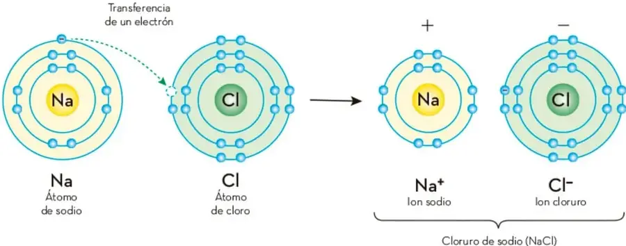 Diagrama de la formación de NaCl: átomo de Na y átomo de Cl con sus capas electrónicas, flecha de 'Transferencia de un electrón' de Na a Cl, y a la derecha los iones Na+ y Cl- con signos + y -, unidos por una llave que indica 'Cloruro de sodio (NaCl)'.