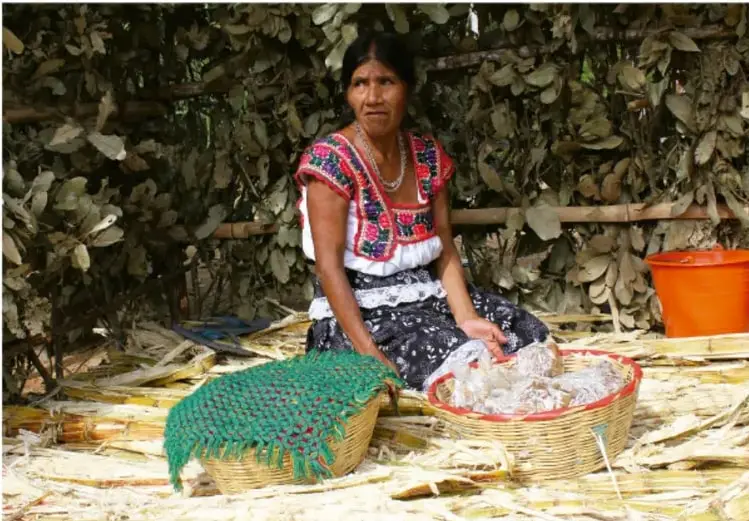Artesana indígena sentada con cestas de fibra vegetal y telas, vistiendo huipil bordado, ilustrando la vestimenta tradicional y la artesanía.