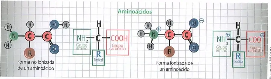 Figura 2 de Ciencias Naturales 10° · 2025
