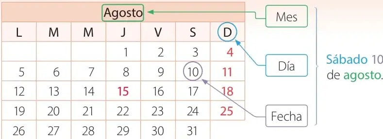 Esquema del mes de agosto con flechas que indican mes (Agosto), día y fecha (10), formando 'sábado 10 de agosto'.
