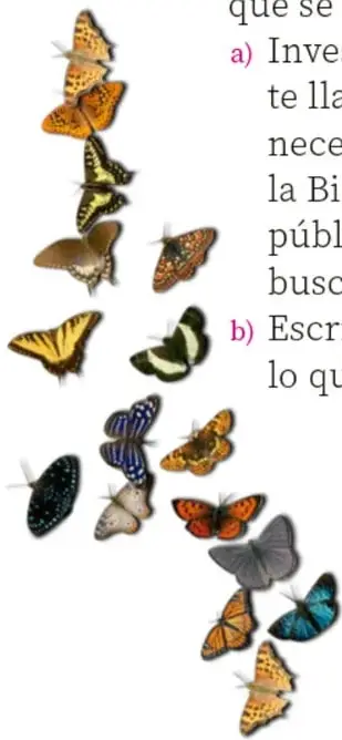 Ilustración de una columna de mariposas de distintos colores y especies volando en zigzag, que acompaña las actividades 2 y 3.