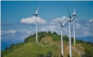 Bosque de pinos visto desde arriba, relacionado con el aprovechamiento responsable de recursos naturales.