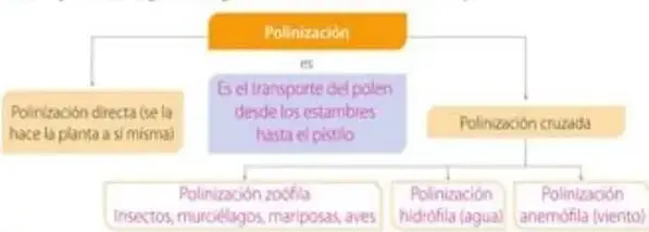 Figura 5 de Ciencias Naturales 5° · Egb 5 Ciencias Naturales 2024 · 2024
