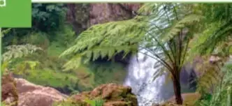 Cascada rodeada de vegetación exuberante, representando biodiversidad.