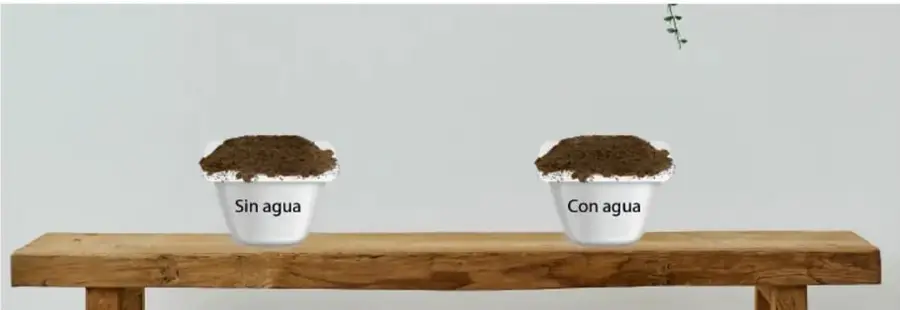 Los dos recipientes colocados sobre una mesa de madera en un espacio protegido.