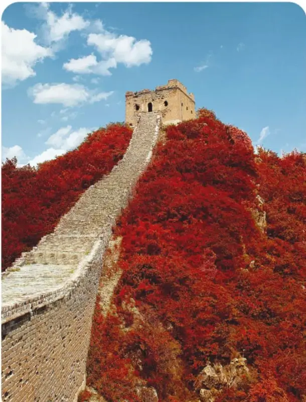 Fotografía de una torre de la Gran Muralla en ruinas, con arbustos y piedras alrededor.