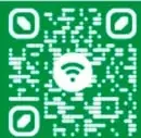 Código QR verde con enlace bit.ly/3xfMvpw