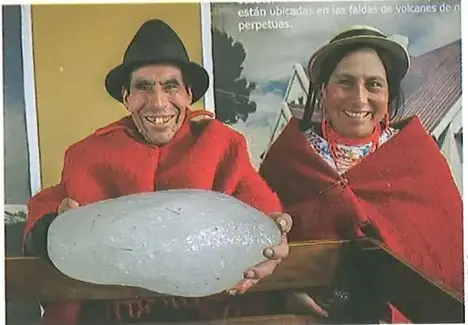 Figura 1 de Lengua Y Literatura 8° · Egb 8 Lengua Y Literatura 2025 · 2025
