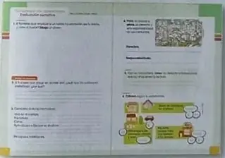 Ícono e ilustración de la sección Interculturalidad.