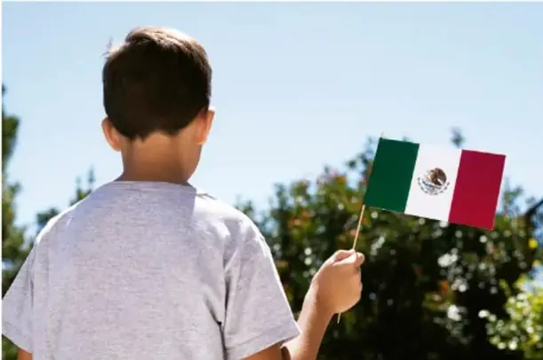 Fotografía de un niño visto de espaldas que sostiene con la mano alzada una bandera de México, con árboles y cielo al fondo.