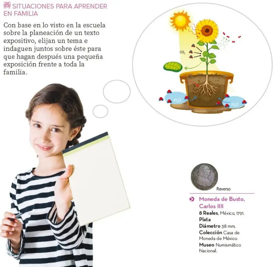 Ilustración circular de una planta (girasol) en maceta con el sol, flechas de CO₂ y H₂O que representan la fotosíntesis.