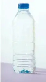 Fotografía de un camarón (alimento de origen animal) dentro de una burbuja de diálogo.