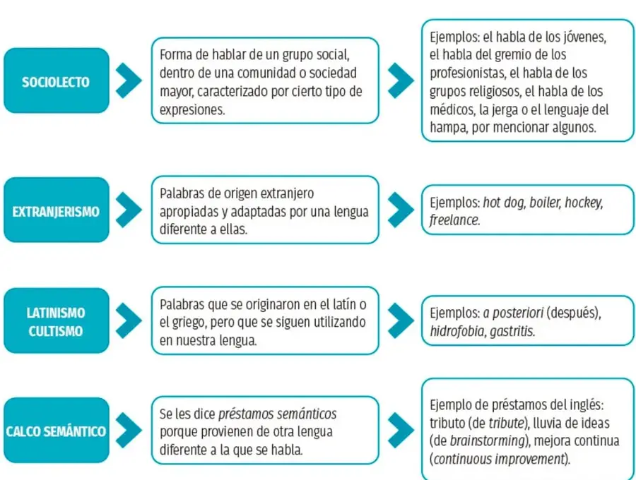 Diagrama de flujo con cuatro tarjetas: SOCIOLECTO, EXTRANJERISMO, LATINISMO/CULTISMO y CALCO SEMÁNTICO, cada una con su definición y un recuadro de ejemplos unidos por flechas.