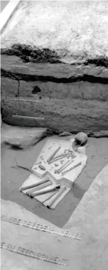 Fotografía en blanco y negro del sitio arqueológico en la cueva, mostrando los restos óseos de Naia dispuestos sobre una bandeja de recuperación, con etiquetas de profundidad en el sedimento.